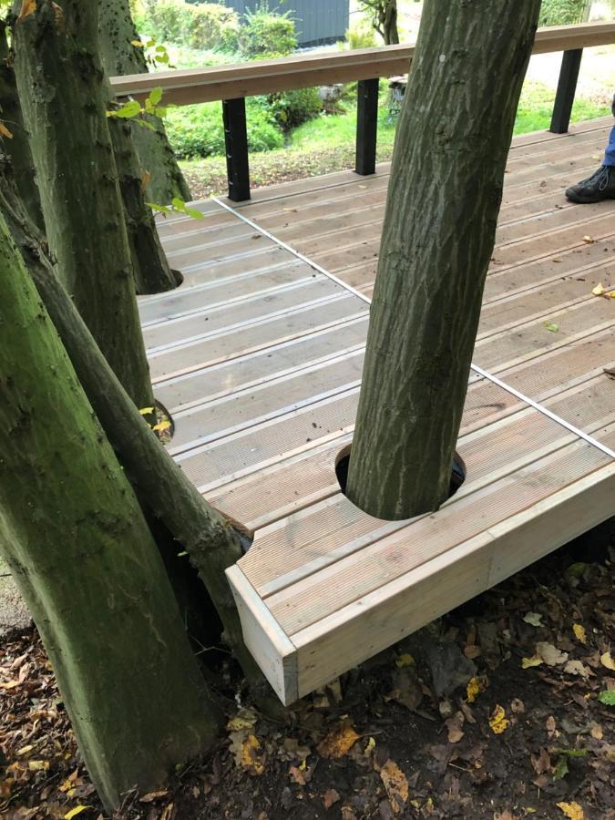 Ferienhaus Waldbaden Im Nationalpark Eifel- Am Bach Schleiden Luaran gambar