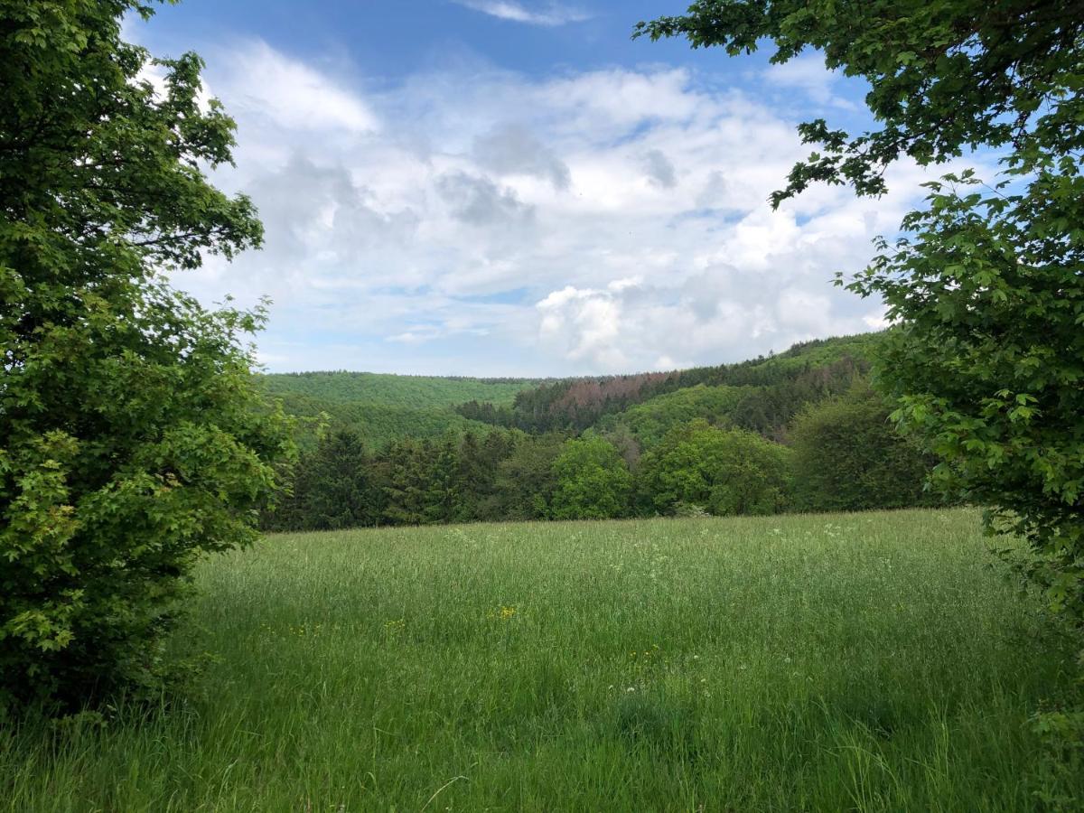 Ferienhaus Waldbaden Im Nationalpark Eifel- Am Bach Schleiden Luaran gambar