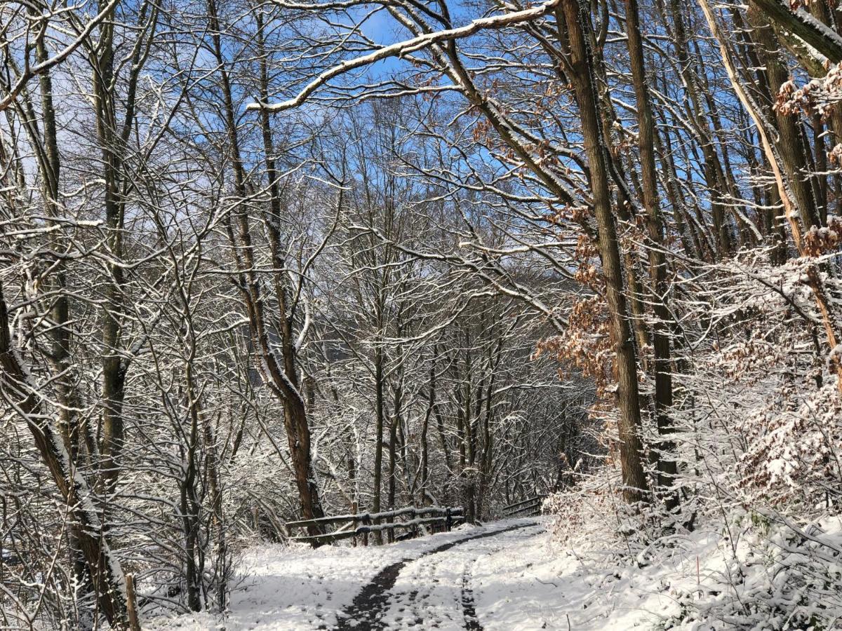 Ferienhaus Waldbaden Im Nationalpark Eifel- Am Bach Schleiden Luaran gambar
