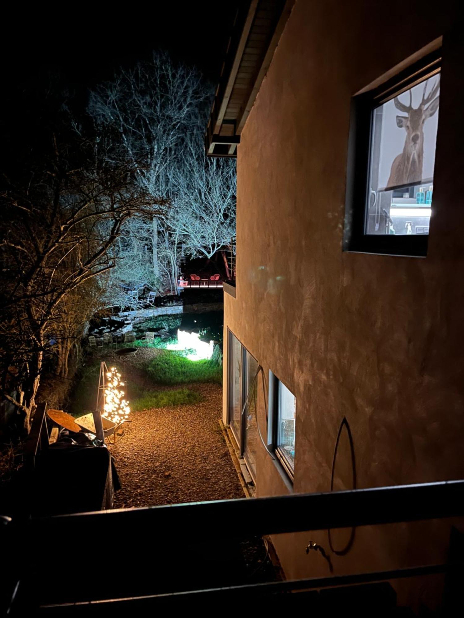 Ferienhaus Waldbaden Im Nationalpark Eifel- Am Bach Schleiden Luaran gambar